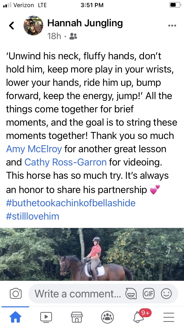 Training Progress Amy McElroy